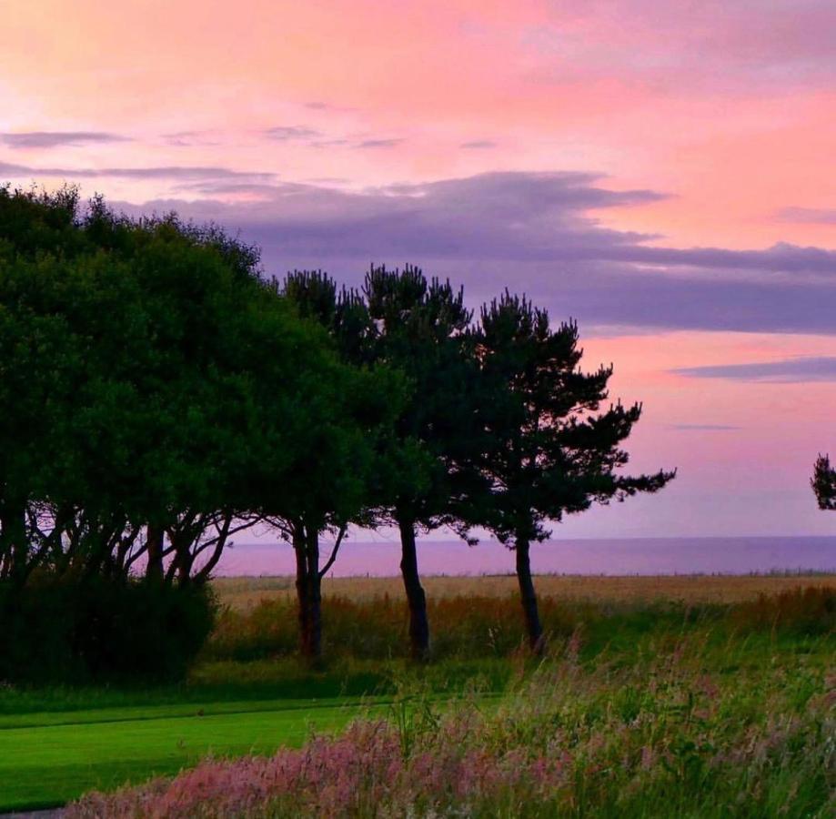 Normandy'S Green By The Sea Port-en-Bessin-Huppain Exteriér fotografie